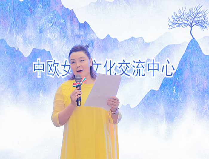 2022年第二十二屆華僑華人創(chuàng)業(yè)發(fā)展洽談會匈牙利專場